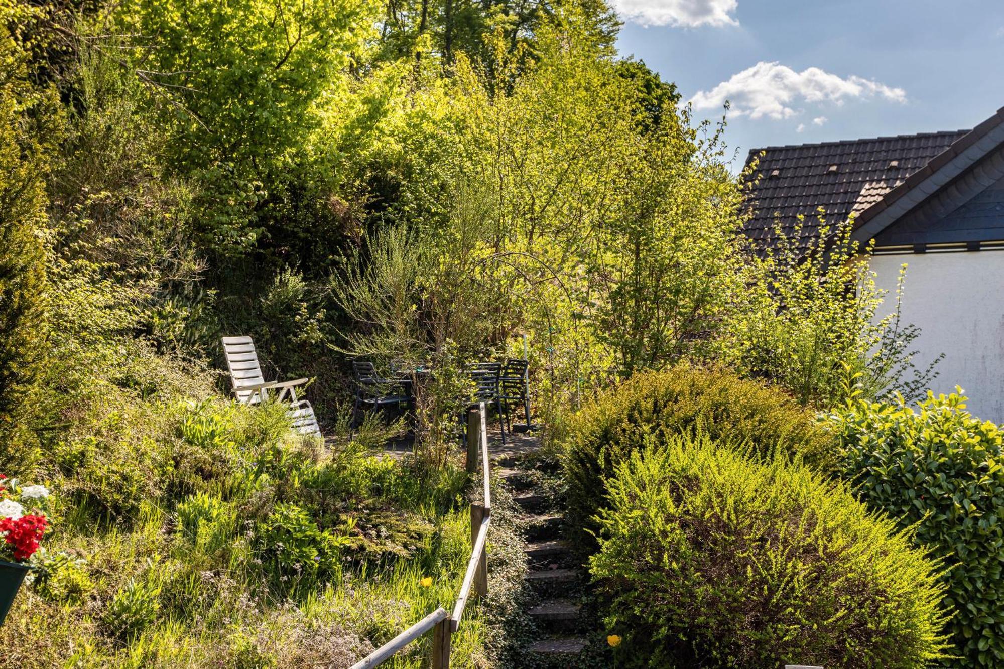 Villa Haus Waldesruh Medebach Esterno foto
