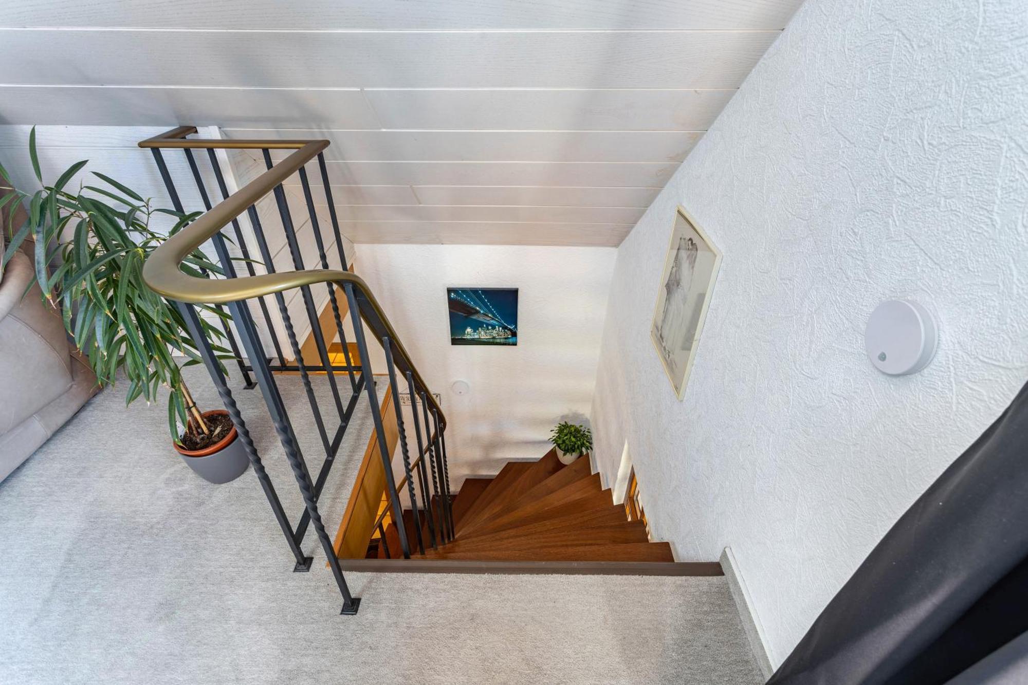 Villa Haus Waldesruh Medebach Esterno foto